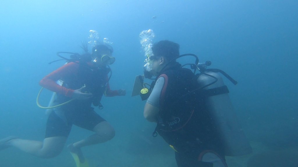 My boyfriend showing me a dive slate with "Would you marry me" written on it?