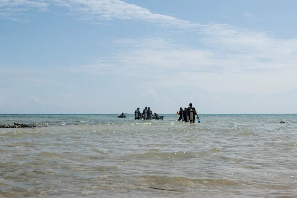 Heading towards the ocean like a champ for diving session