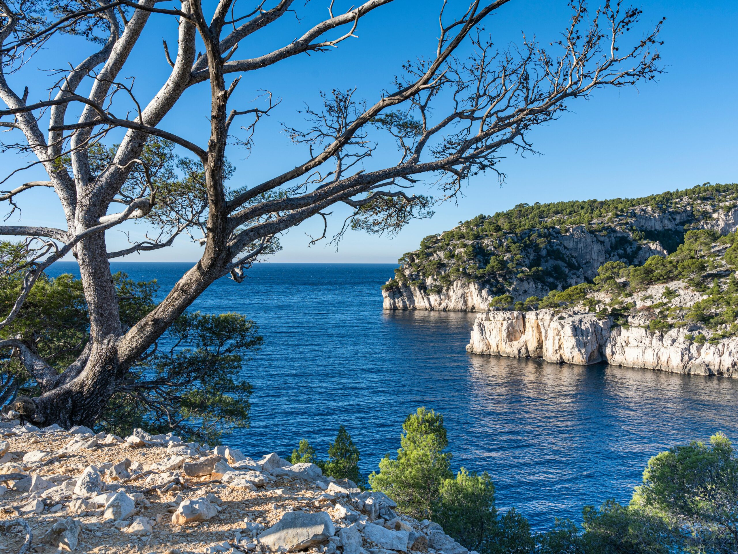 Best Calanques to Visit 4