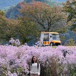 Best Day Trips from Seoul 16